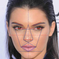 What is the perfect face according to plastic surgery?